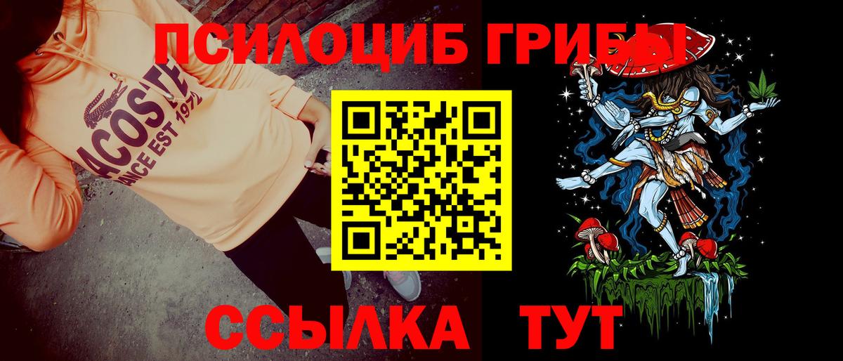 Галлюциногенные грибы Cubensis  Вход с VPN  Галлюциногенные грибы Cubensis  Камышлов 