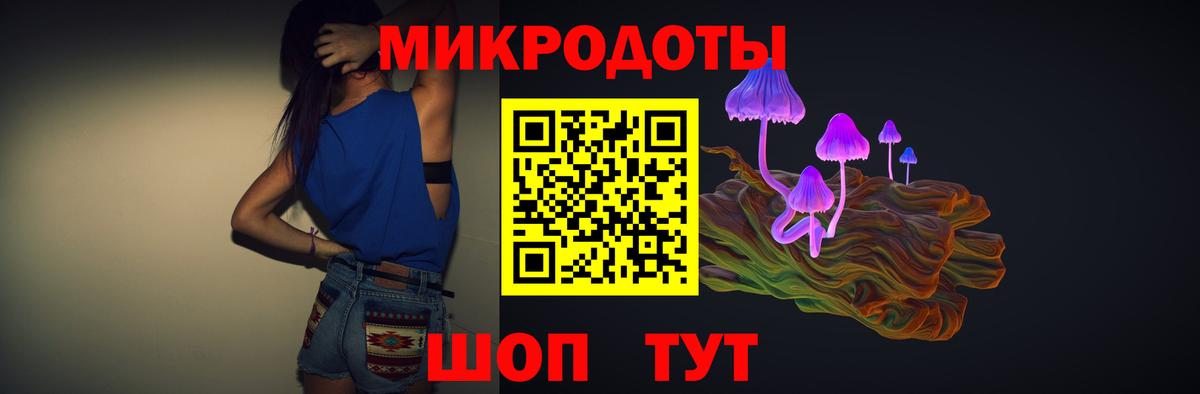 Галлюциногенные грибы Psilocybe Камышлов